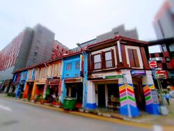 Little India Conservation Area (D8), Shop House #564191791